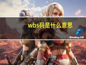wbs码是什么意思