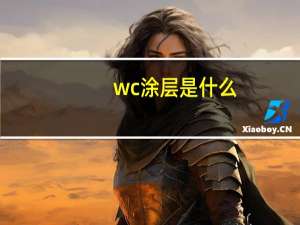wc涂层是什么