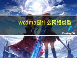wcdma是什么网络类型（wcdma版）