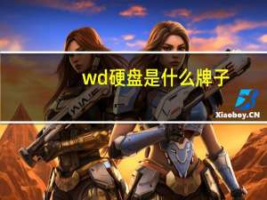 wd硬盘是什么牌子
