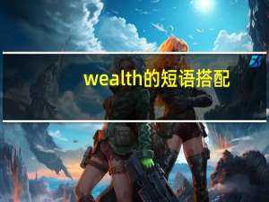 wealth的短语搭配