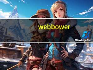 webbower（webbot简介）