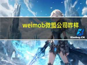 weimob微盟公司咋样（weimob微盟）