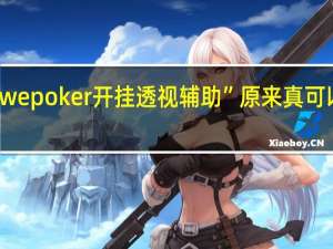 wepoker开挂透视辅助”原来真可以开挂