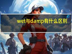 wet与damp有什么区别