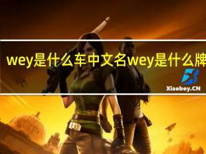 wey 是什么车中文名 wey 是什么牌的车