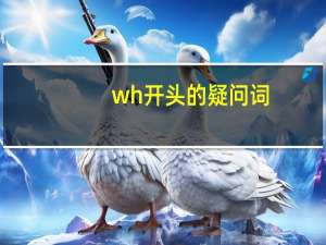 wh开头的疑问词