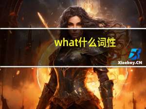 what什么词性