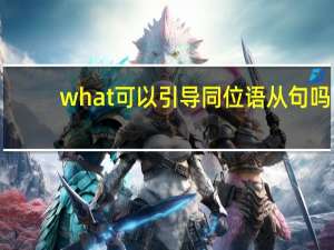what可以引导同位语从句吗