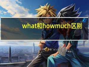 what和howmuch区别