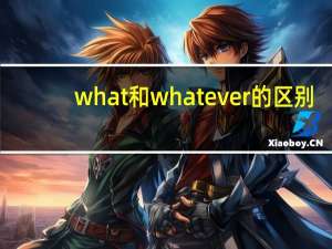 what和whatever的区别