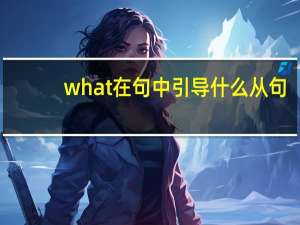 what在句中引导什么从句