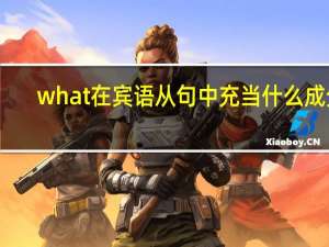 what在宾语从句中充当什么成分