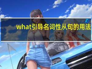 what引导名词性从句的用法