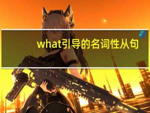 what引导的名词性从句