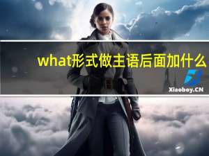 what形式做主语后面加什么