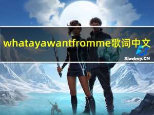 whataya want from me歌词中文