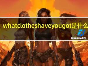 what clothes have you got是什么意思