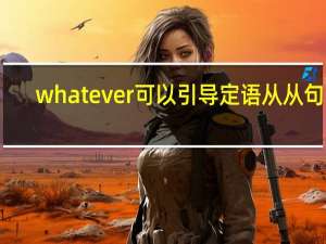 whatever可以引导定语从从句吗