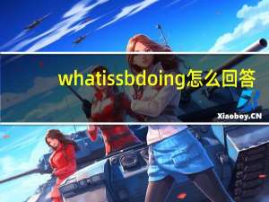 what is sb doing 怎么回答