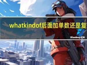 what kind of 后面加单数还是复数
