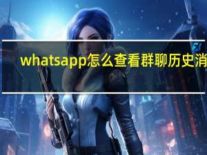 whatsapp怎么查看群聊历史消息（WhatsApp修复了擦除群聊数据的错误）