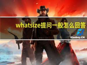 whatsize提问一般怎么回答
