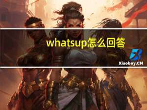 whats up怎么回答