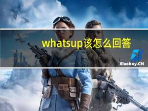 whats up 该怎么回答