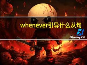whenever引导什么从句