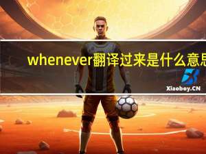 whenever翻译过来是什么意思？
