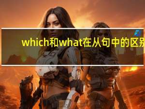 which和what在从句中的区别