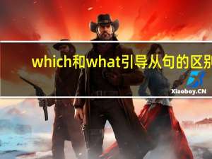 which和what引导从句的区别