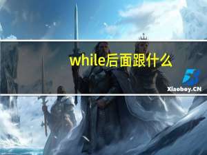 while后面跟什么