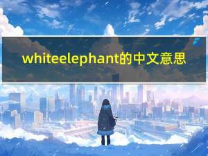 white elephant的中文意思