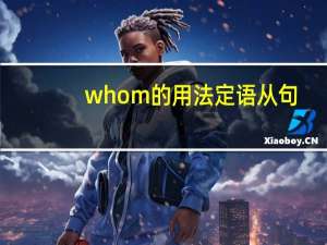 whom的用法定语从句