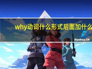 why动词什么形式后面加什么