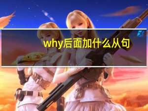 why后面加什么从句
