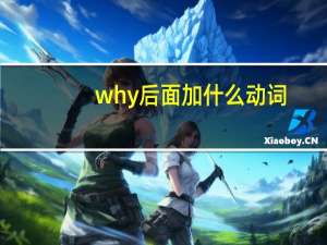 why后面加什么动词