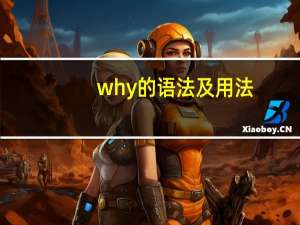why的语法及用法