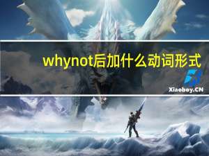 why not后加什么动词形式