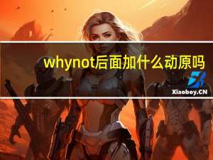 why not后面加什么动原吗