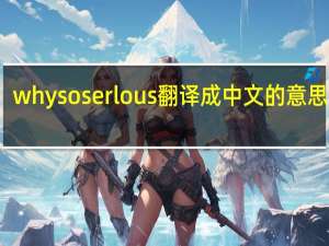 whysoserlous翻译成中文的意思是啥