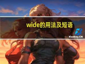 wide的用法及短语