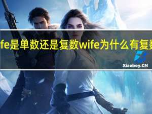 wife是单数还是复数 wife为什么有复数形式呀