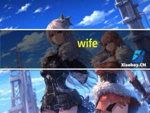 wife（共享精灵）