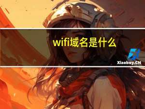 wifi域名是什么