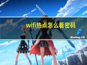 wifi热点怎么看密码（wlan热点查询）