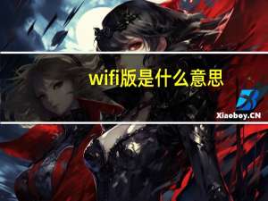 wifi版是什么意思