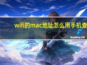 wifi的mac地址怎么用手机查（WiFi的Mac地址怎么查看）